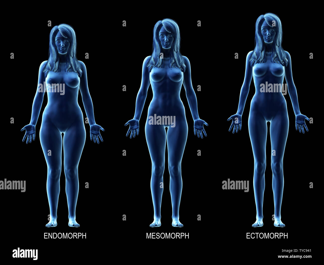 Illustration of a female human body type: endomorph Stock Photo - Alamy