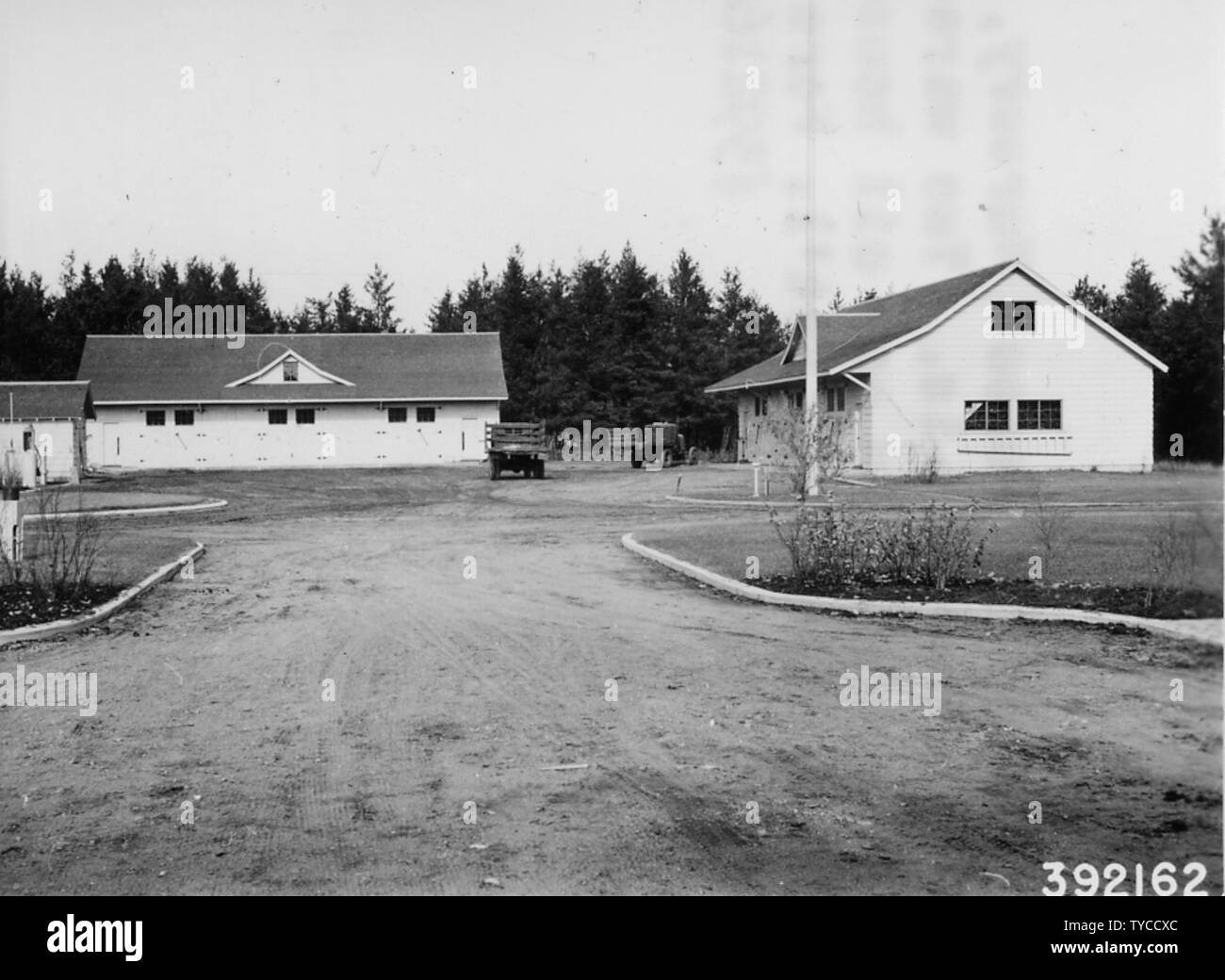 Photograph of Hayward Forest Nursery; Scope and content Original