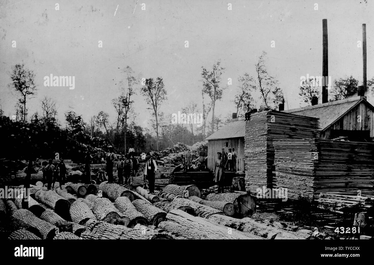 Photograph of Hardwood Logs at Mill in Grayling, Michigan; Scope and content:  Original caption: Hardwood logs at mill. Grayling, Michigan. Lower Mich NF. ~1910. Stock Photo