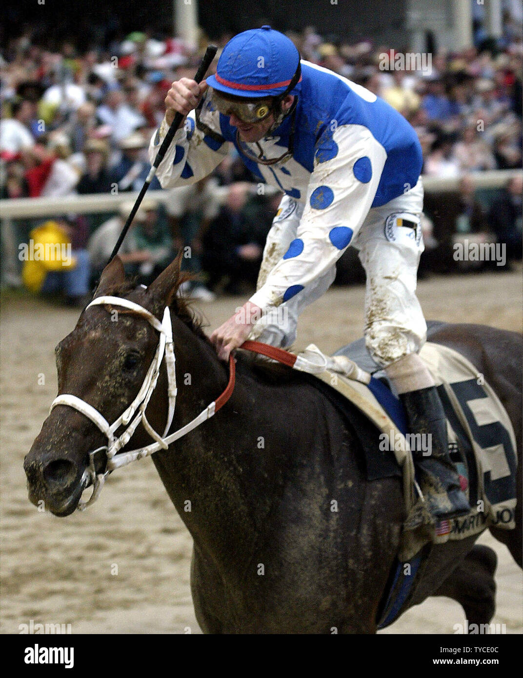 Jockey Stewart Elliott, atop Smarty Jones, celebrates after crossing the finish line winning the 130th Kentucky Derby at Churchill Downs in Louisville, KY on May 1, 2004. (UPI Photo/Frank Polich) Stock Photo