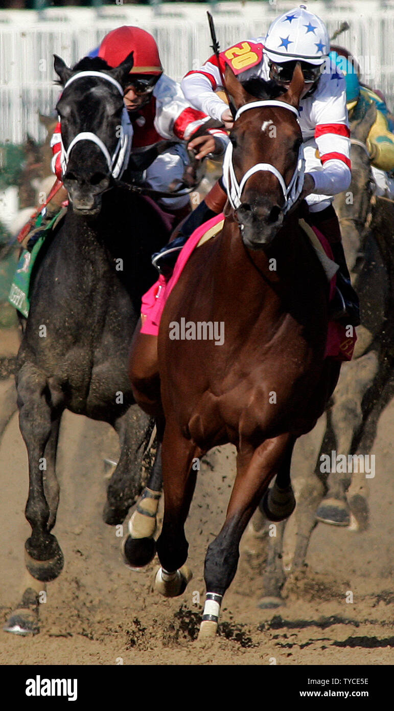 Big Brown, with jockey Kent Desormeaux up (R) leads Gabriel Saez, aboard Eight Belles, through the fourth turn en route to winning the 134th running of the Kentucky Derby at Churchill Downs on May 3, 2008 in Louisville, Kentucky. Philly Eight Belles, who finished second, was euthanized on the track due to a fatal injury. (UPI Photo/Frank Polich) Stock Photo