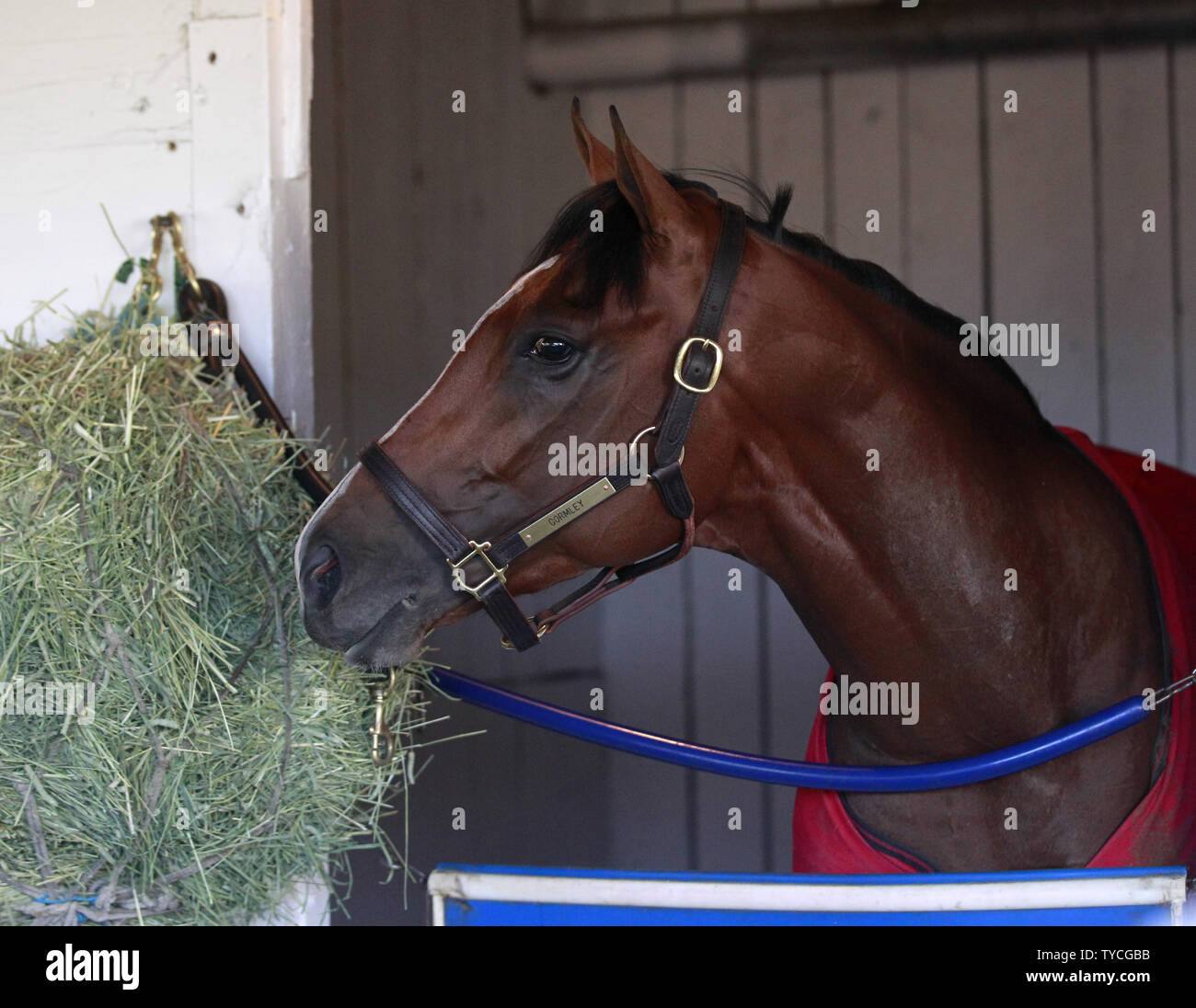 John gormley hires stock photography and images Alamy