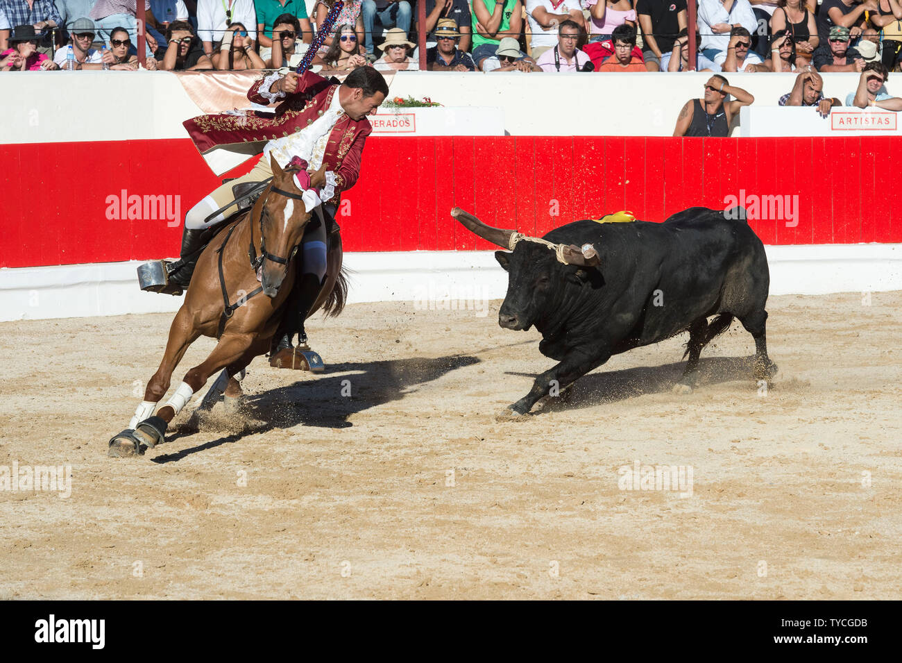Bullfight in Alcochete, Horseman stabbing banderilla on a bull, Festas do Barrete Verde e das Salinas, Alcochete, Setubal Province, Portugal Stock Photo