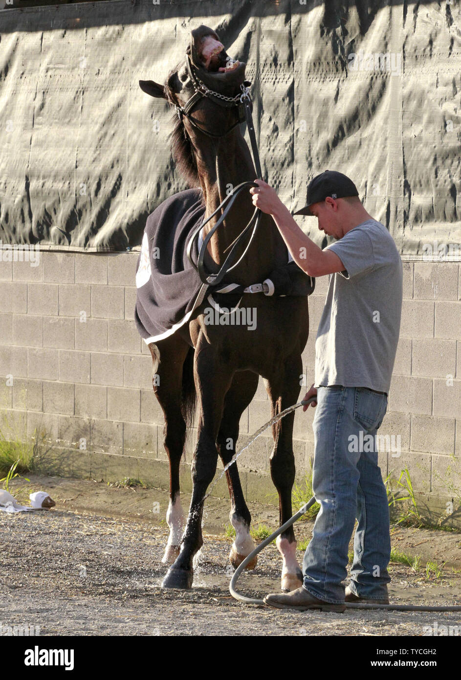 Joe cool hires stock photography and images Alamy