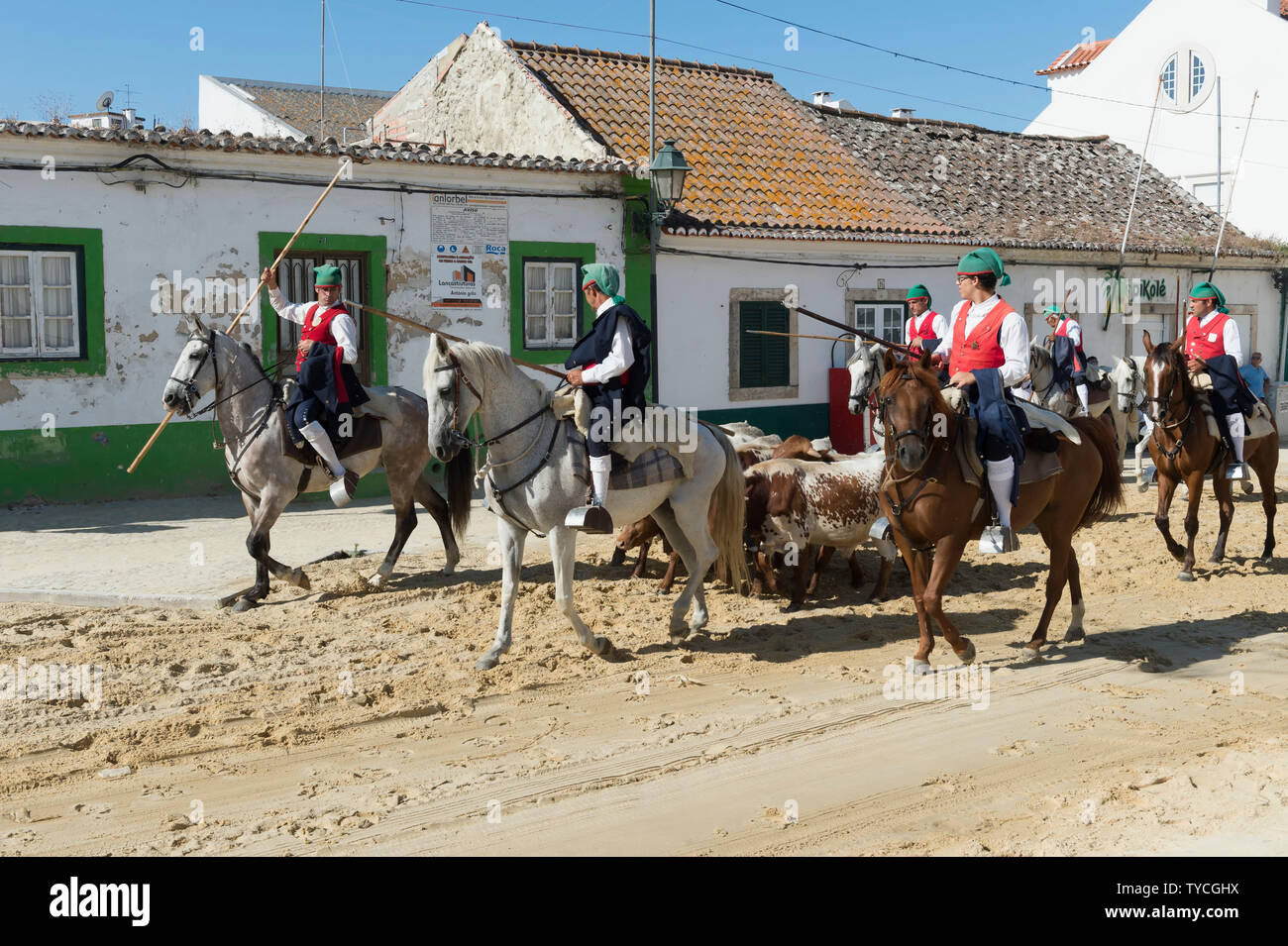 Parade of Horsemen and bulls in the streets, Festas do Barrete Verde e das Salinas, Alcochete, Setubal Province, Portugal Stock Photo