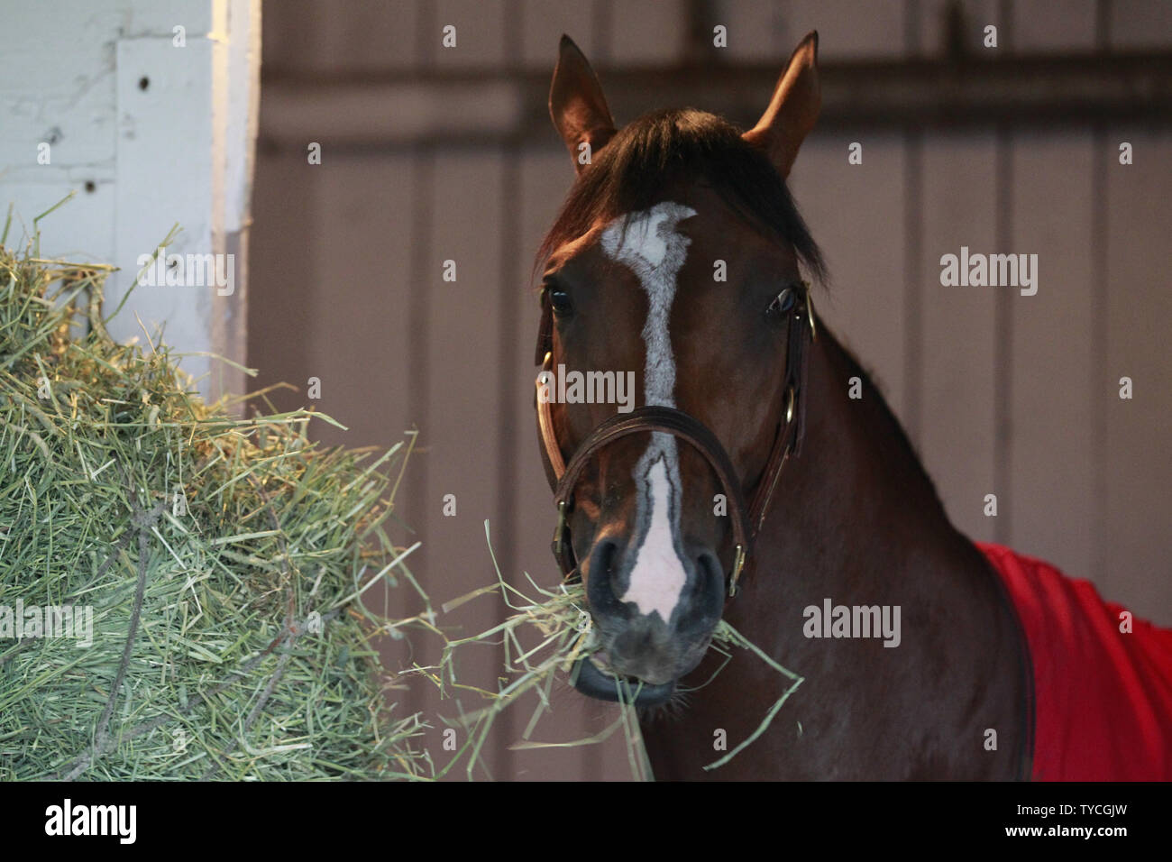 John gormley hires stock photography and images Alamy