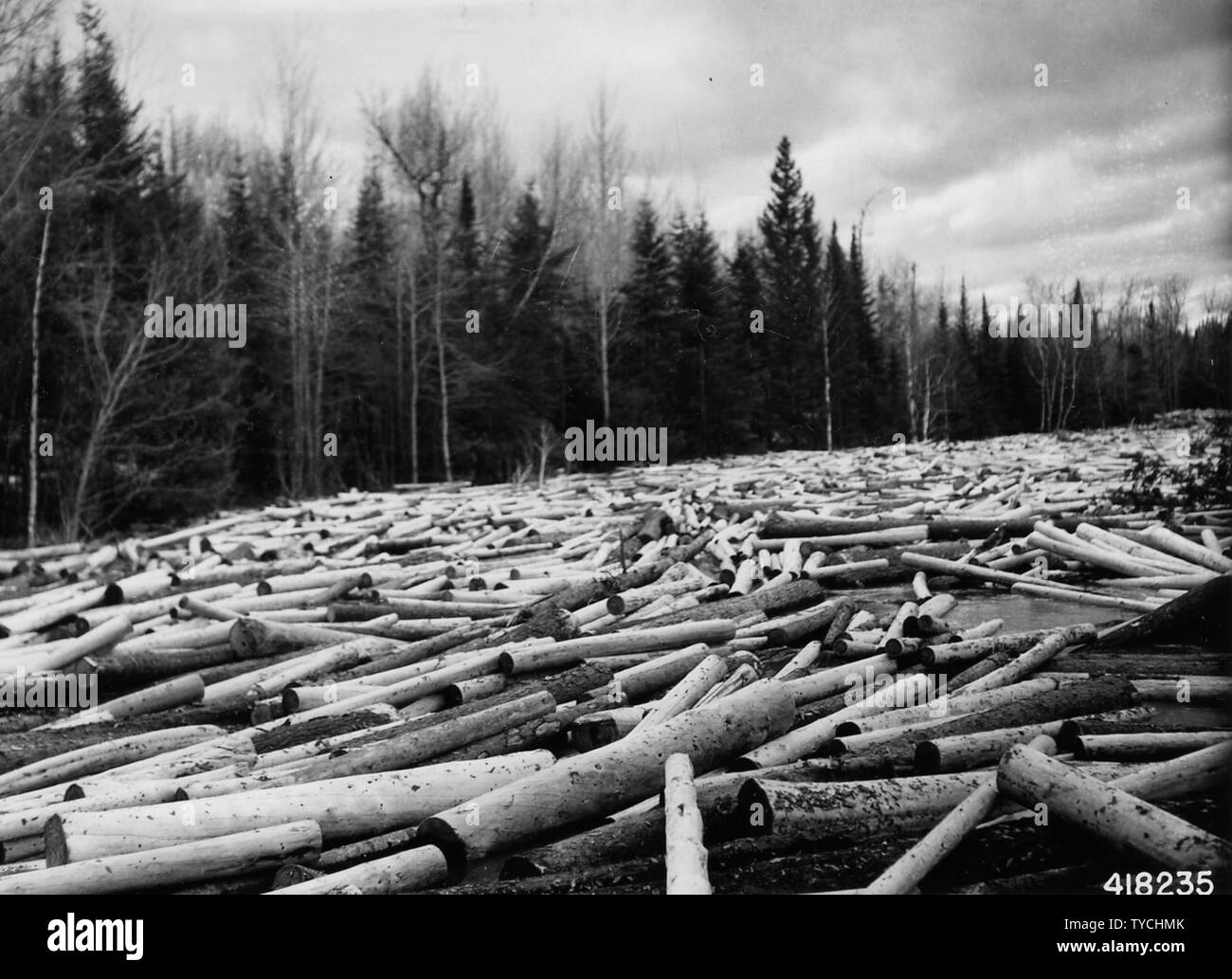 Photograph of Log Jam; Scope and content: Original caption: The jam ...