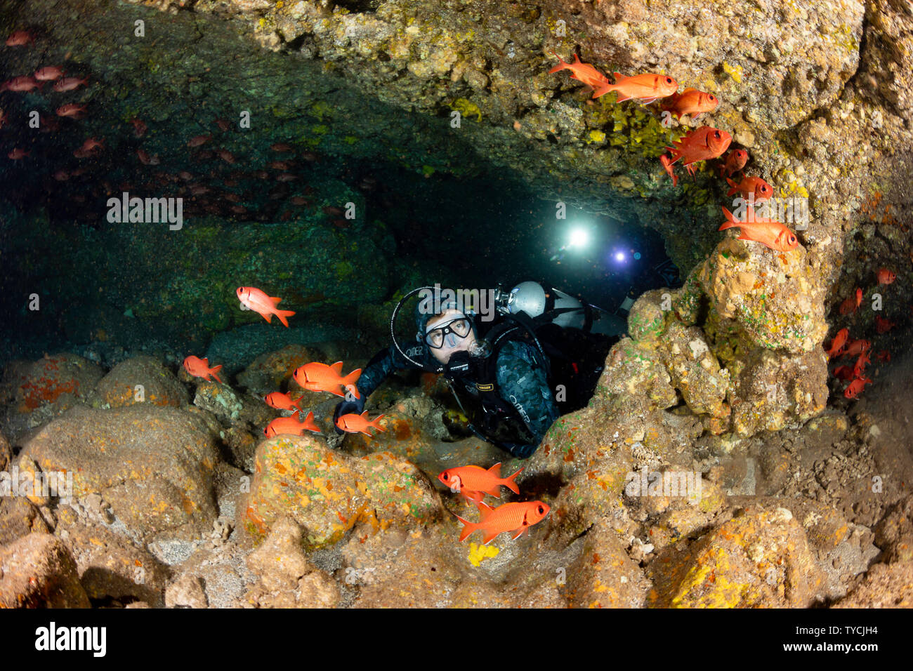 Divers (MR) and shoulderbar soldierfish, Myripristis kuntee, passing through a lava tube off the island of Lanai, Hawaii. Stock Photo