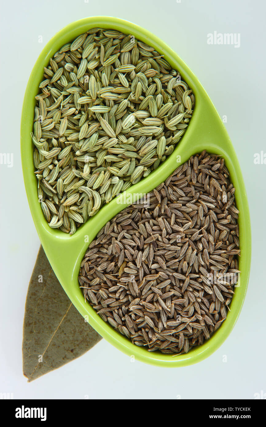Fennel Seeds Vs Cumin Seeds