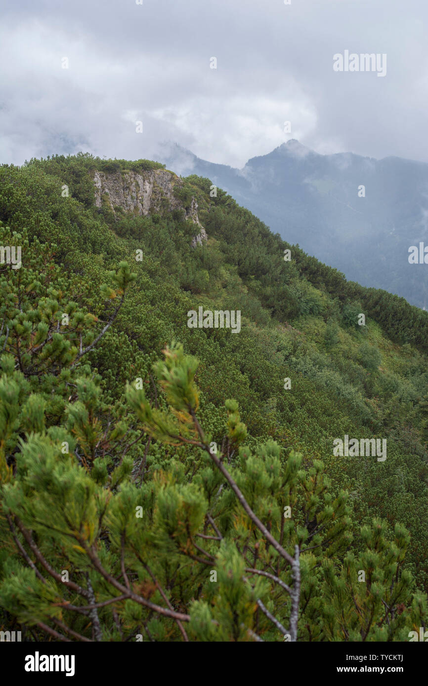 Hochfelln mountain, view from summit plateau, Hochfelln mountain railway, Hochfelln, Chiemgau, Upper Bavaria, Bavaria, Bavarian Alps, Germany Stock Photo