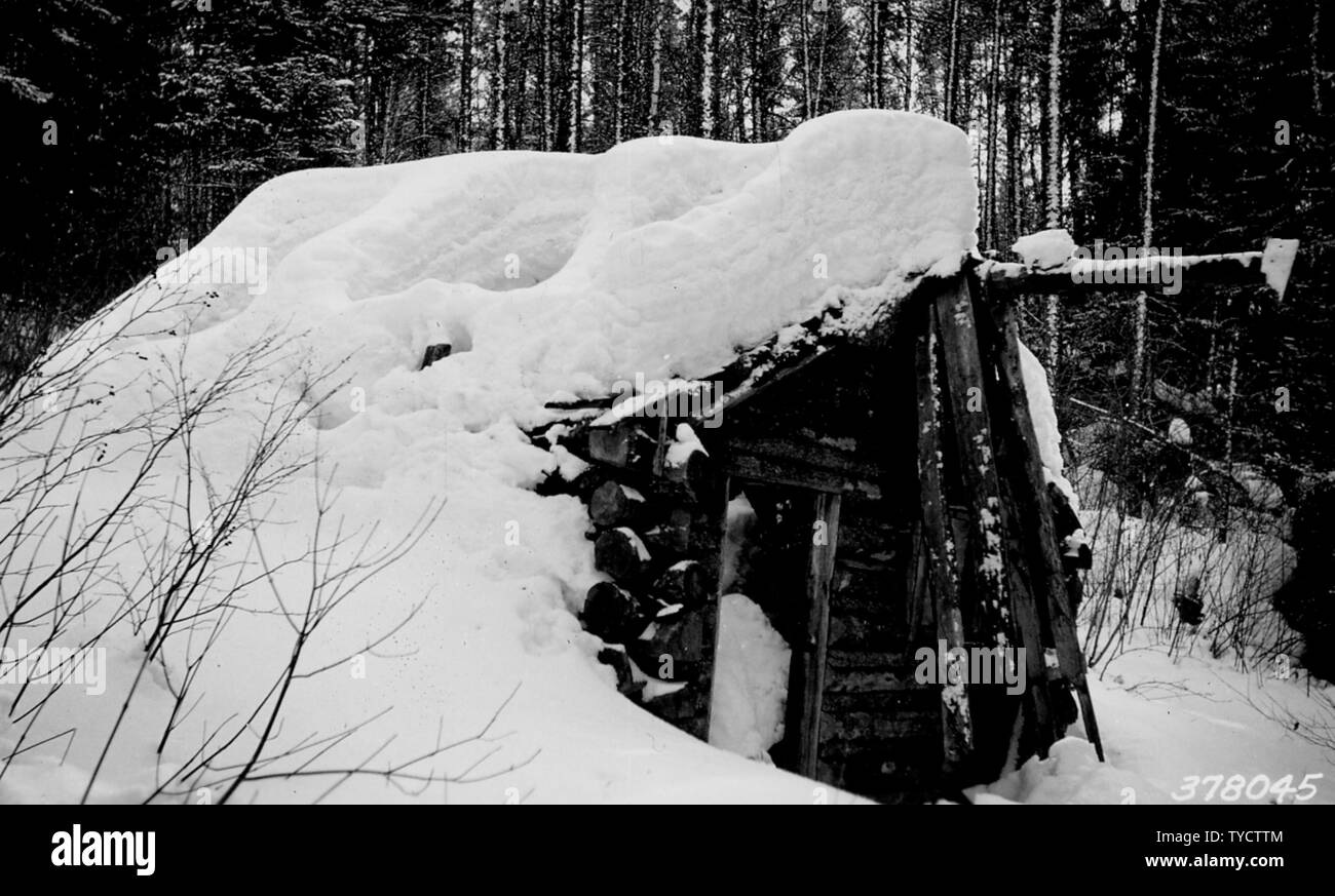 Photograph Of Old Homesteader Cabin Built By Henry Hudson Found On