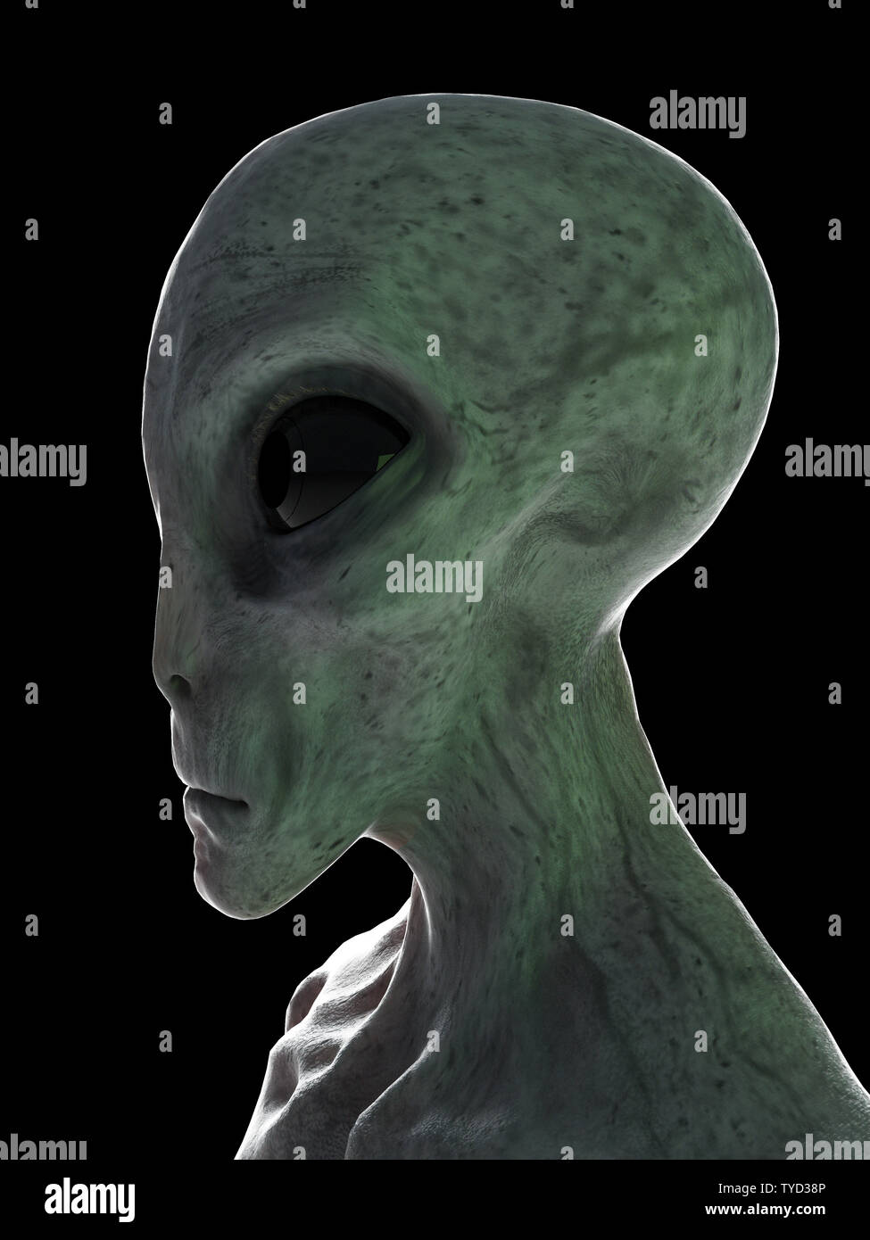 3d rendered illustration of a standing grey alien Stock Photo - Alamy