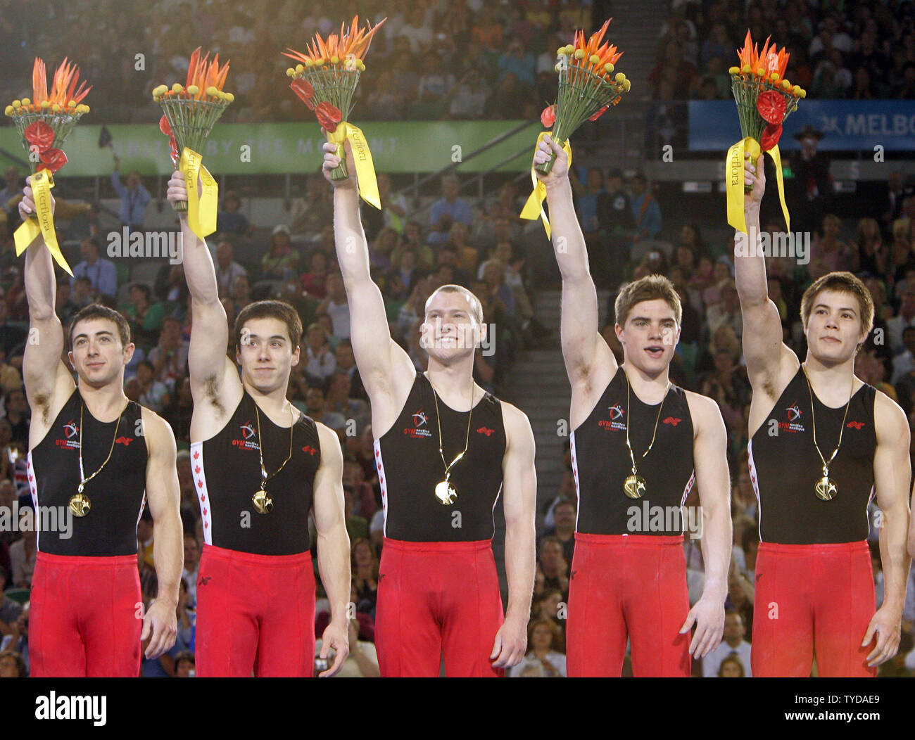 Shewfelt hires stock photography and images Alamy