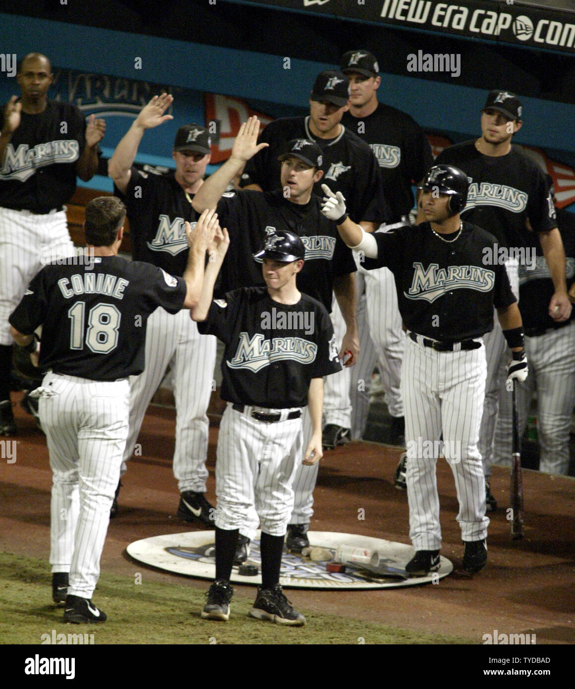 Florida Marlins Jeff Conine(18) celebrates with teammates after scoring in  the 5th inning against the New York Yankees in game 5 of the 2003 MLB World  Series, at Pro Player Stadium, Miami