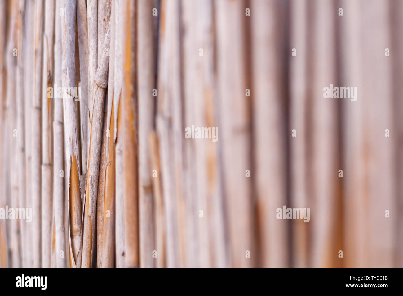 Reeds Perspective Exterior perspectives hi-res stock photography and images - Alamy