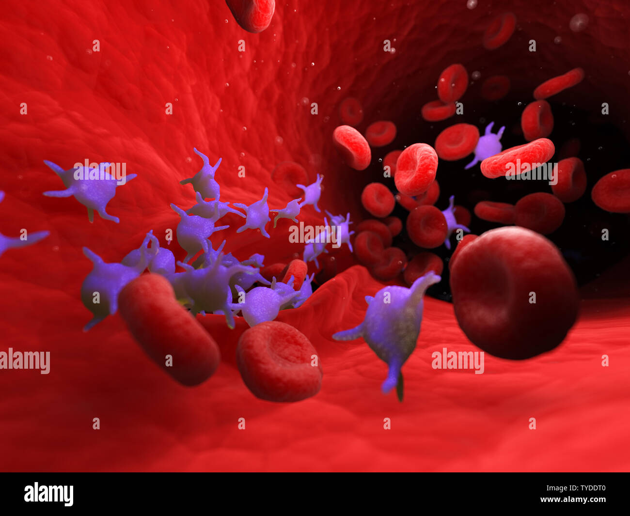 3d rendered medically accurate illustration of active blood platelets Stock Photo