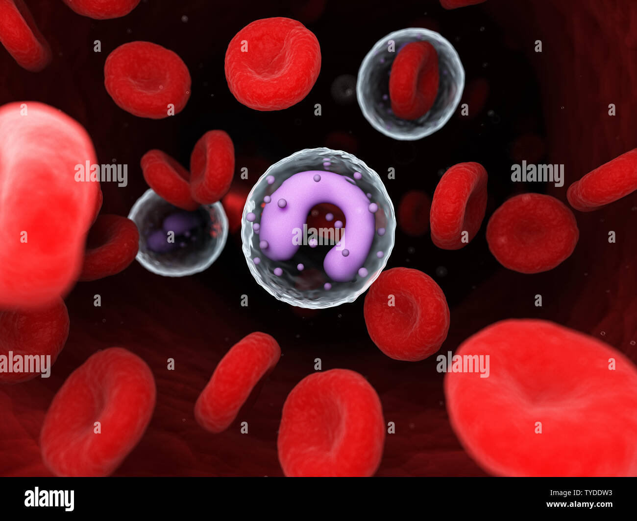 3d rendered medically accurate illustration of a monocyte Stock Photo