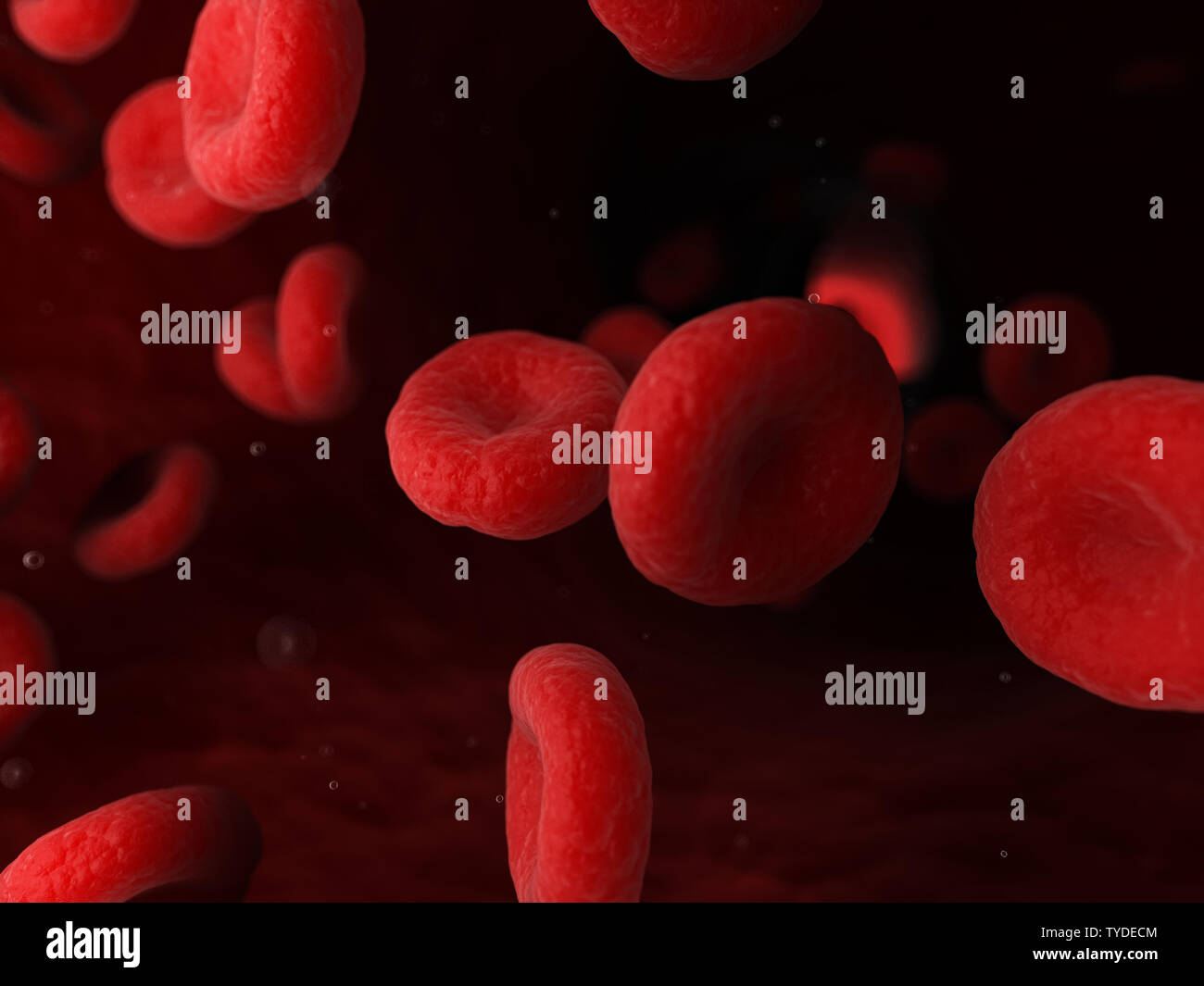 3d rendered medically accurate illustration of human blood cells Stock Photo Alamy