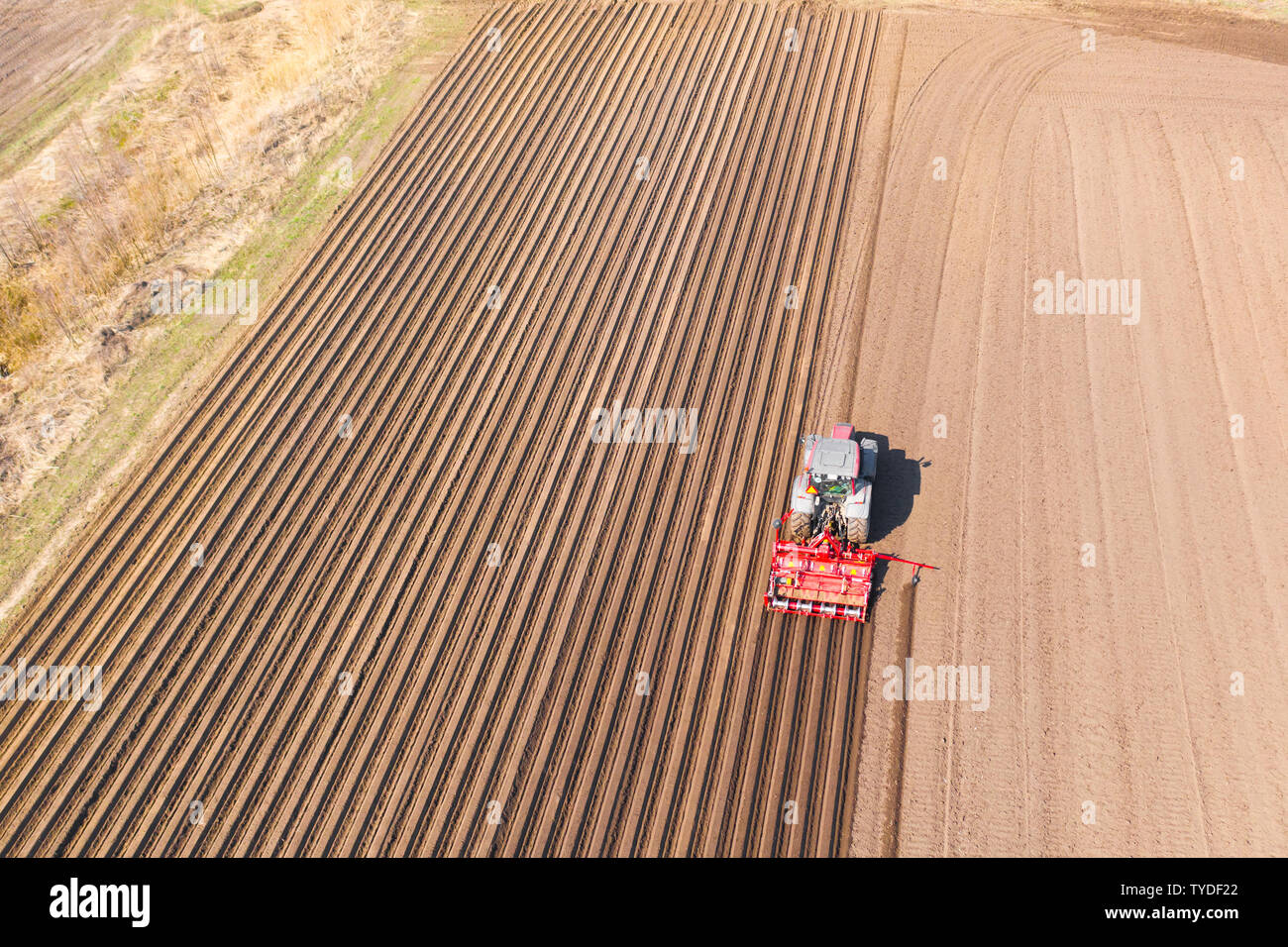Tractor with disc harrows on farmland, top view. Tractor cuts furrows in a plowed field. Preparing the field for planting vegetables. Agricultural work with a tractor. Stock Photo