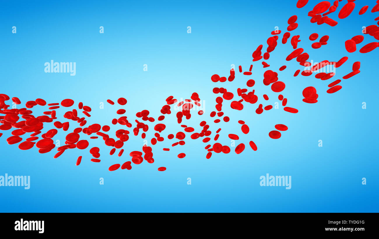 3d rendered illustration of human blood cells on a blue background