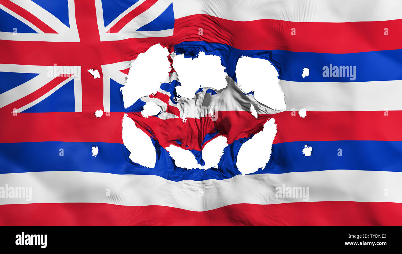 Holes in Hawaii state flag Stock Photo - Alamy