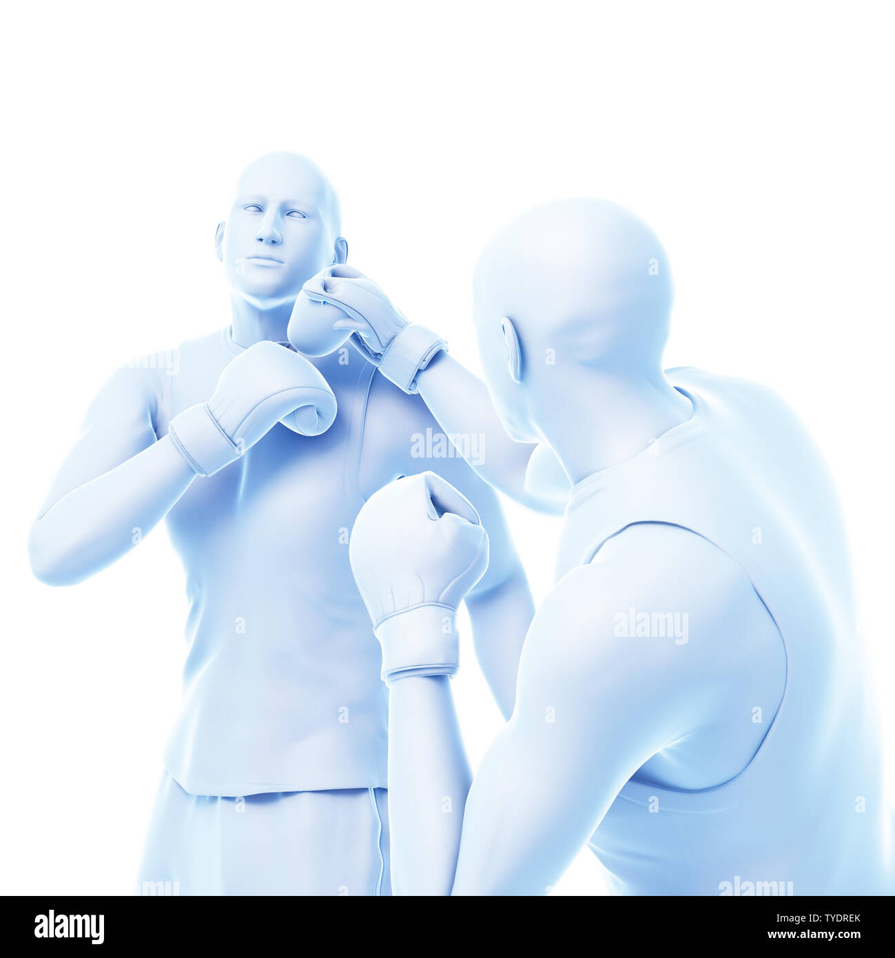  3d rendered medically accurate illustration of two boxing men Stock 