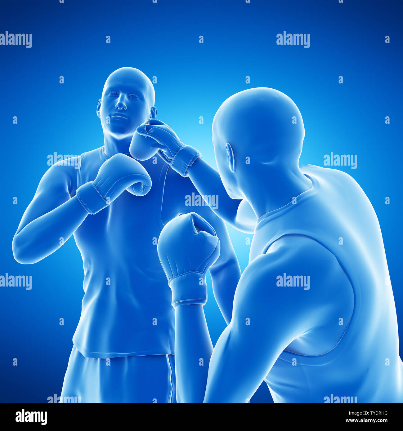  3d rendered medically accurate illustration of two boxing men Stock Illustration 