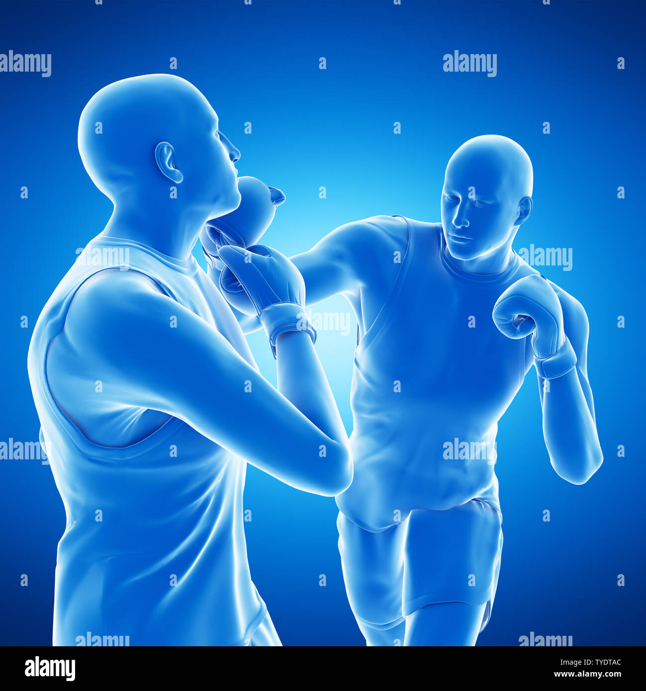  Foto zu 3d rendered medically accurate illustration of two boxing men Stock 