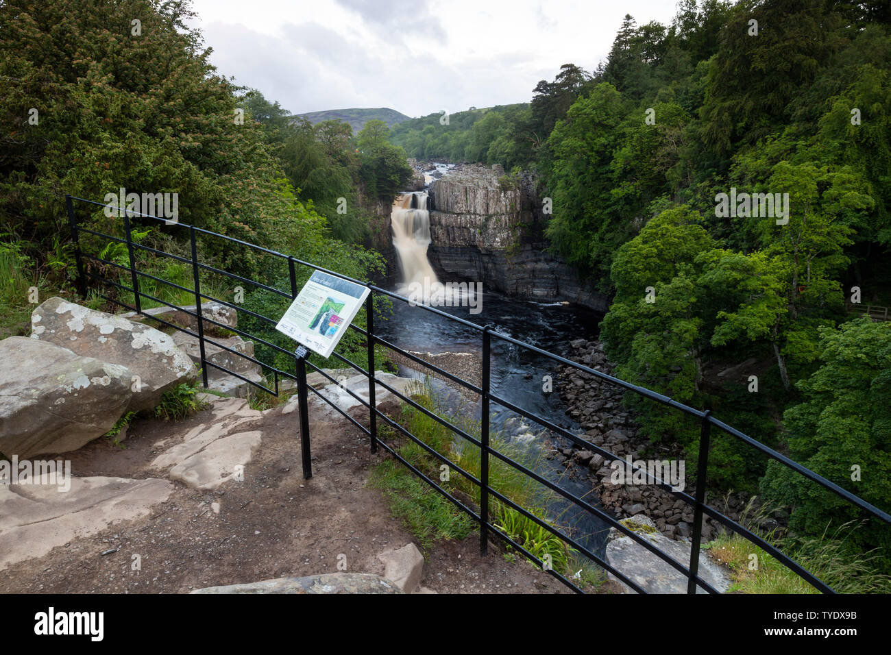 High Force and Information Sign from the Pennine Way Viewpoint, Upper Teesdale, County Durham, UK Stock Photo