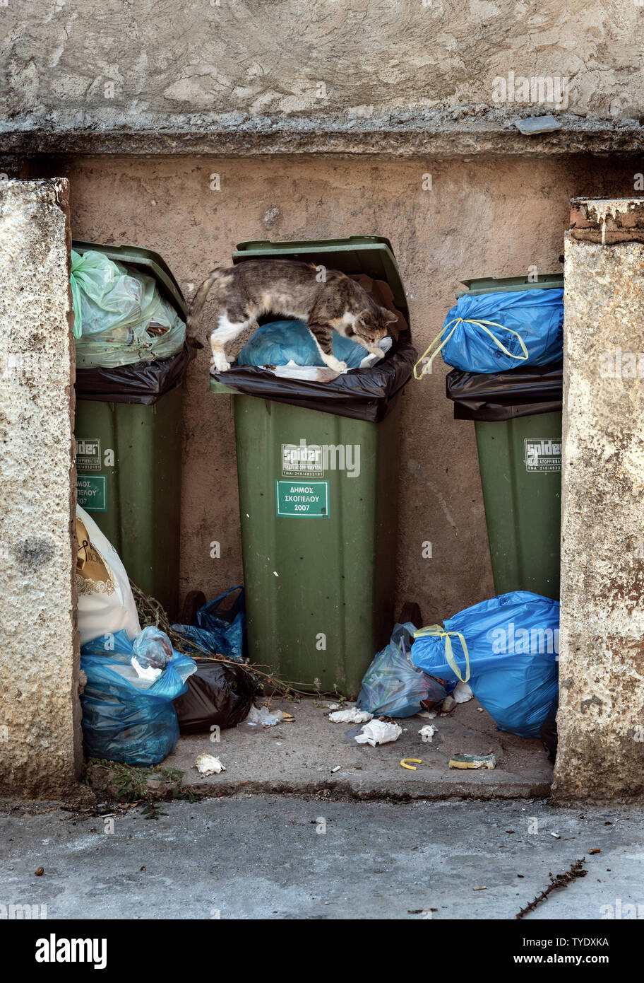 Refuge bin hires stock photography and images Alamy