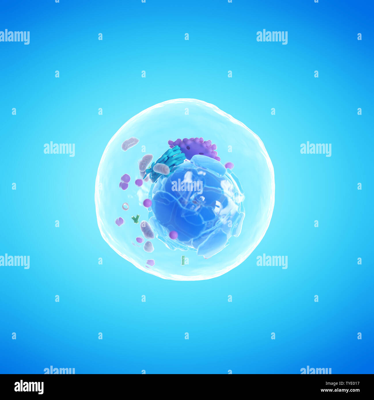 3d illustration of a human cell Stock Photo