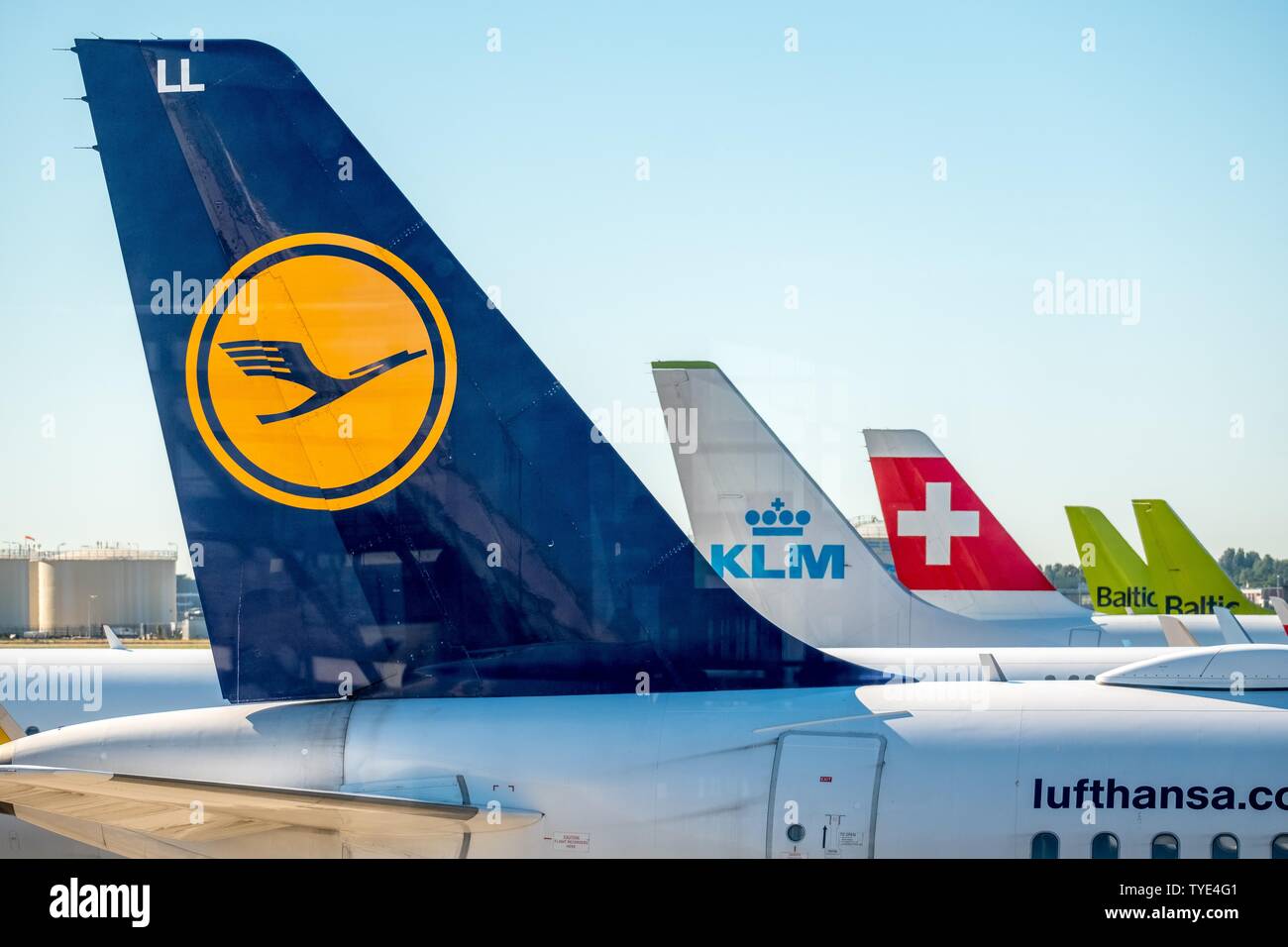 Rear tail fins with Lufthansa, KLM, Swiss Air and Baltic Air logo, Amsterdam Schiphol Airport, Noord-Holland, Netherlands Stock Photo