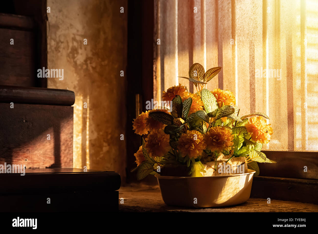 plastic flowers in old pots get sunlight from the side of the window. Stock Photo
