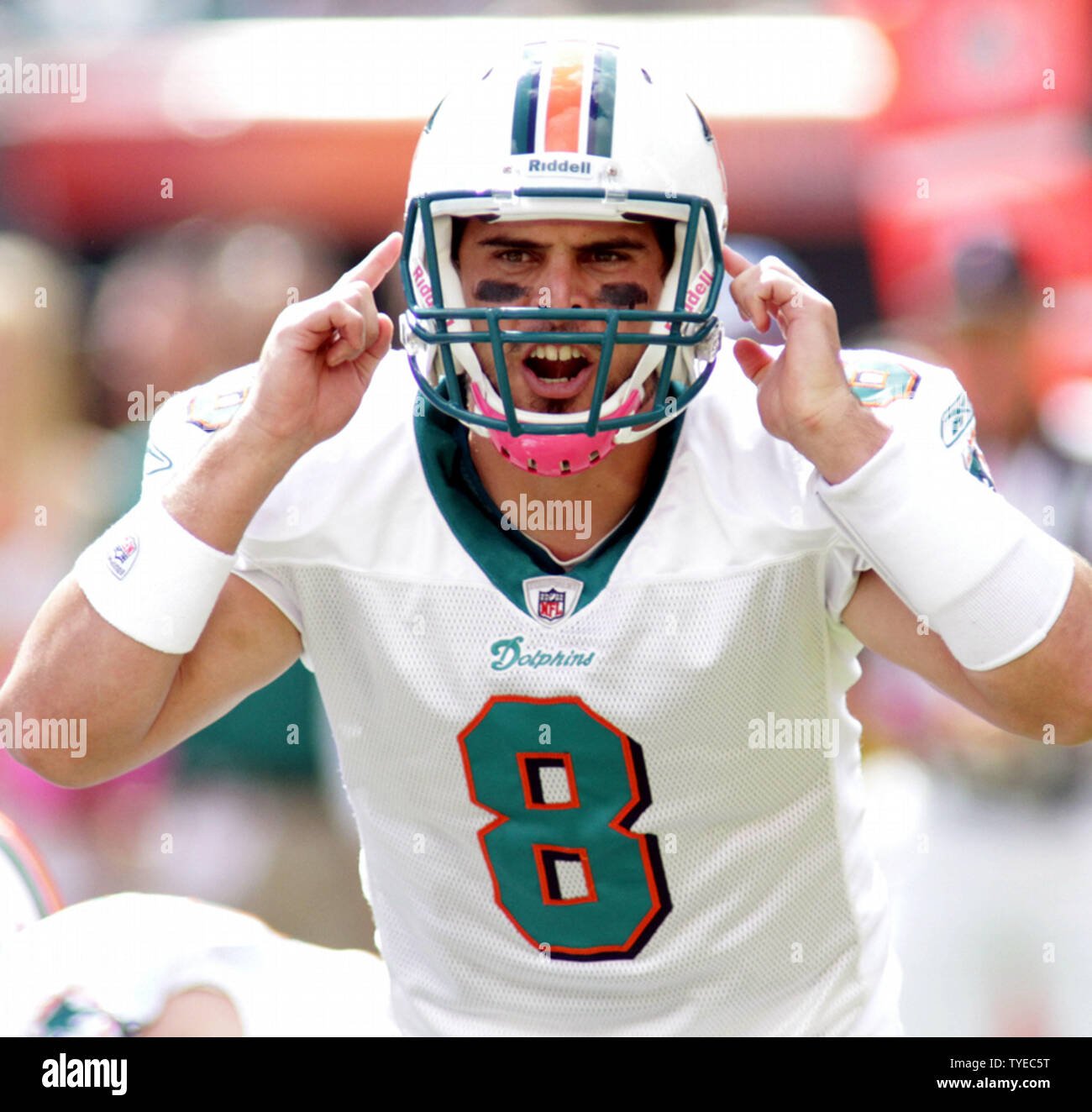 miami dolphins number 8