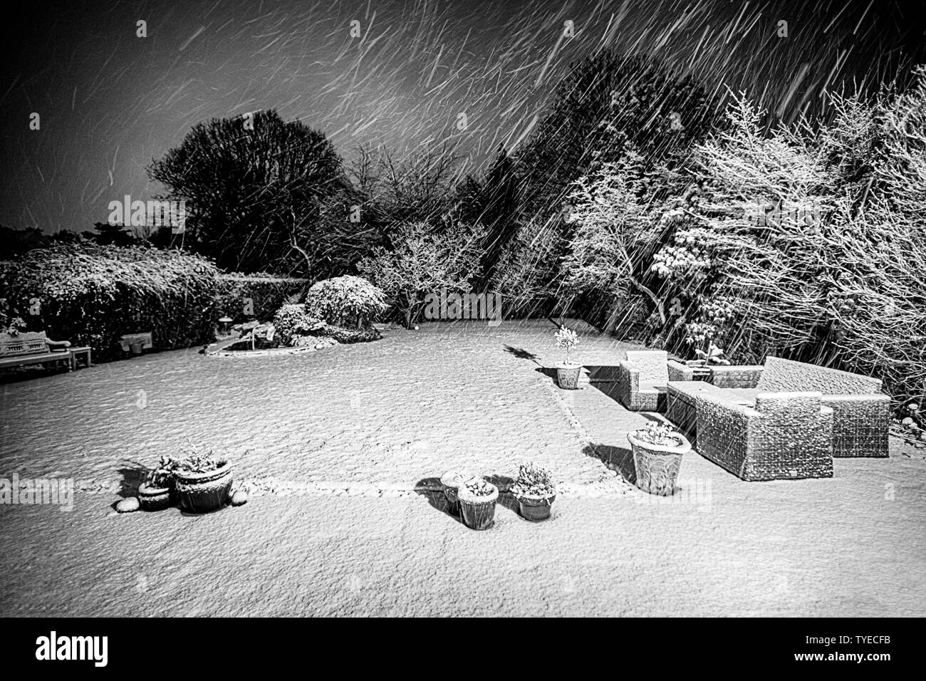 snowy garden Stock Photo