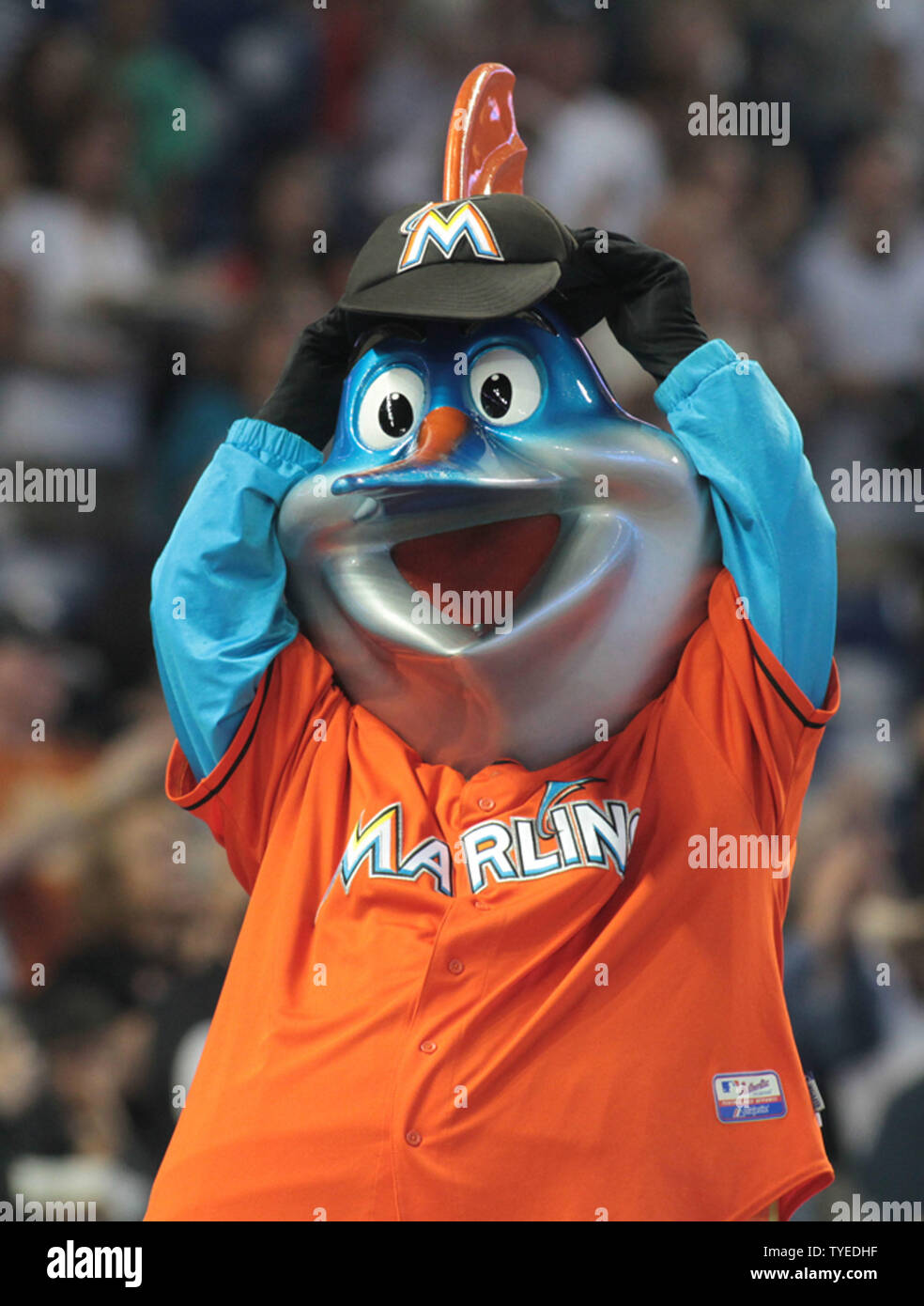 Miami Marlins Mascot Billy the Marlin celebrates on the dugout