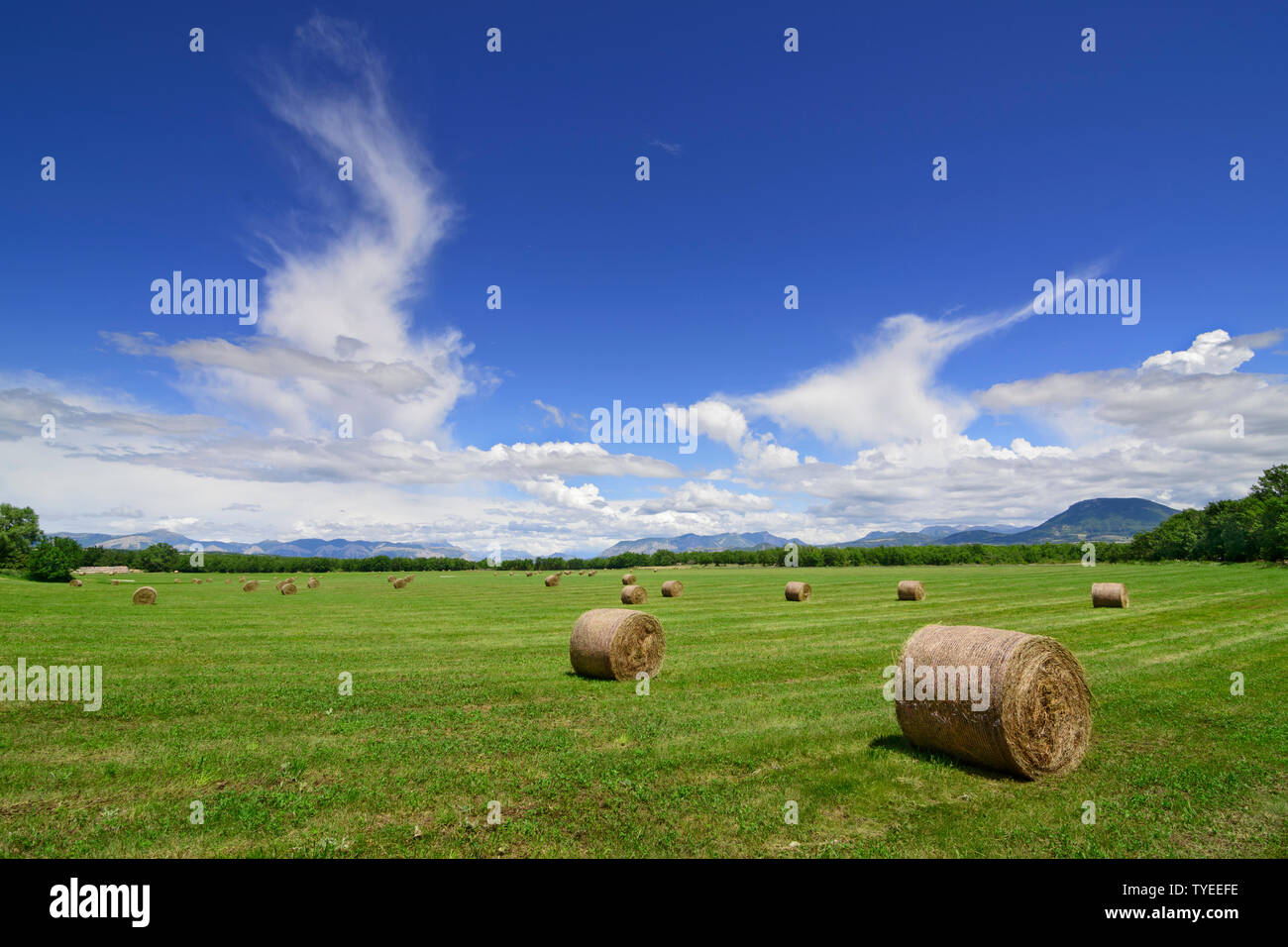 Landscape with hay bales in the filed with amazing blue sky Stock Photo