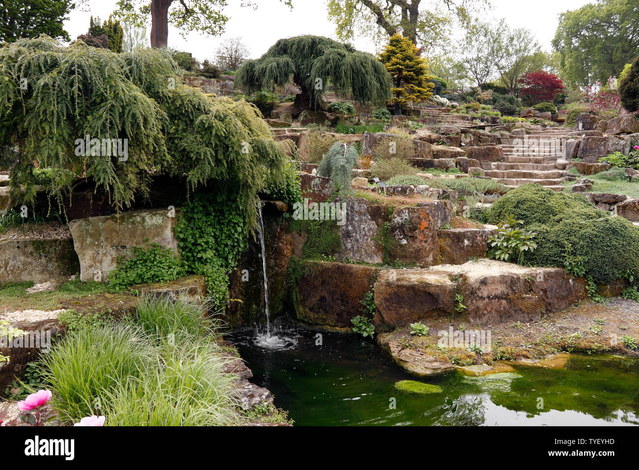 ROCK GARDEN WATER FEATURE. RHS WISLEY SPRING Stock Photo Alamy