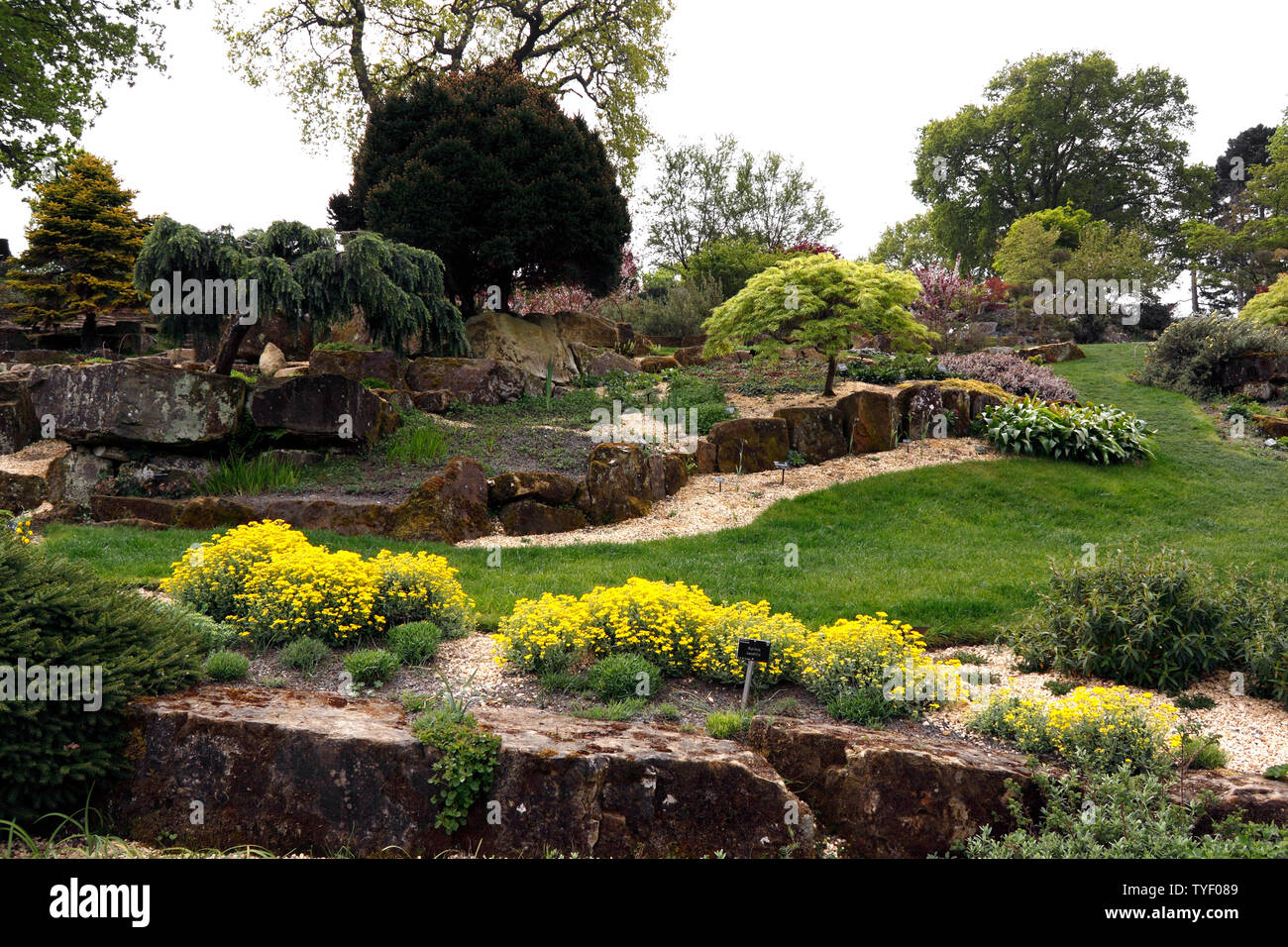 THE TERRACED ROCK GARDEN AT RHS WISLEY IN SPRING Stock Photo