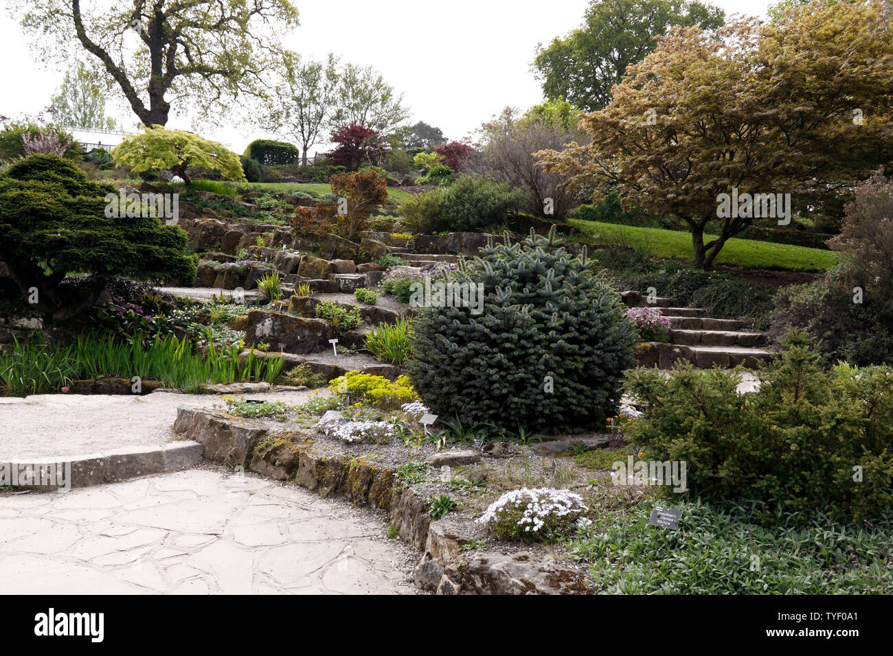 THE TERRACED ROCK GARDEN AT RHS WISLEY IN SPRING Stock Photo