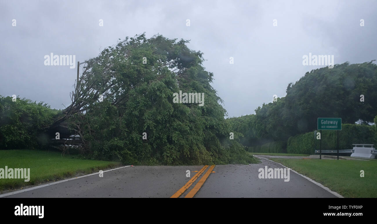 Trees Pull Out Of The Ground Blocking A North South Roadway In