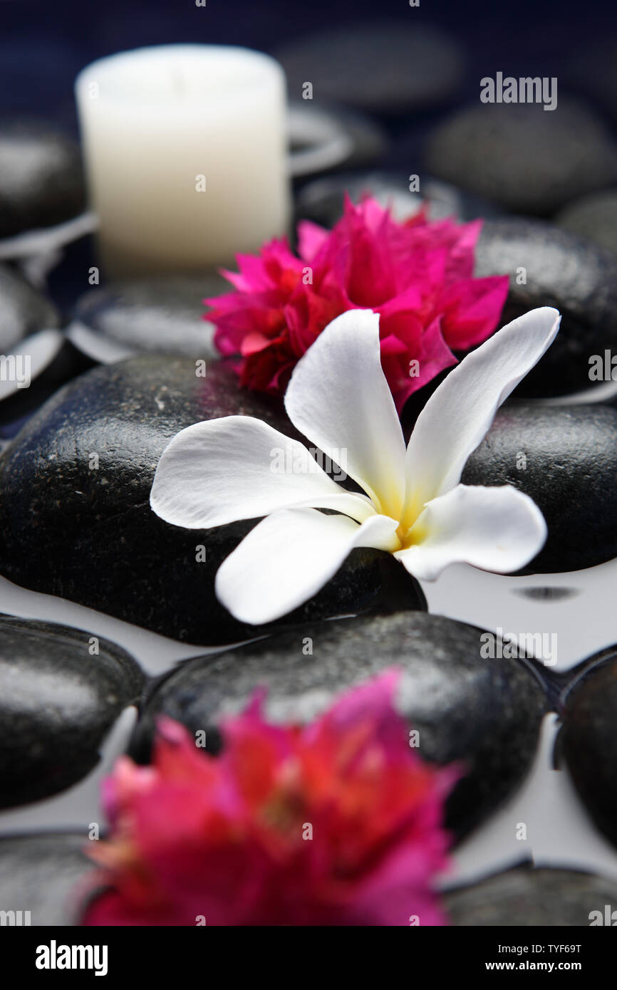 Flowers and candle with lastone therapy stones Stock Photo