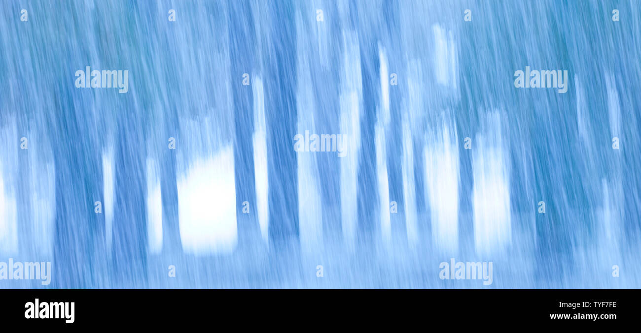 Bosque de roble albar hi-res stock photography and images - Alamy