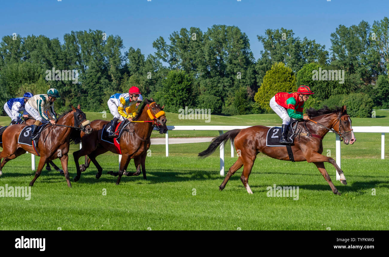 Horse racing at the racecourse in Munich Daglfing, Upper Bavaria, Bavaria, Germany, Europe Stock Photo