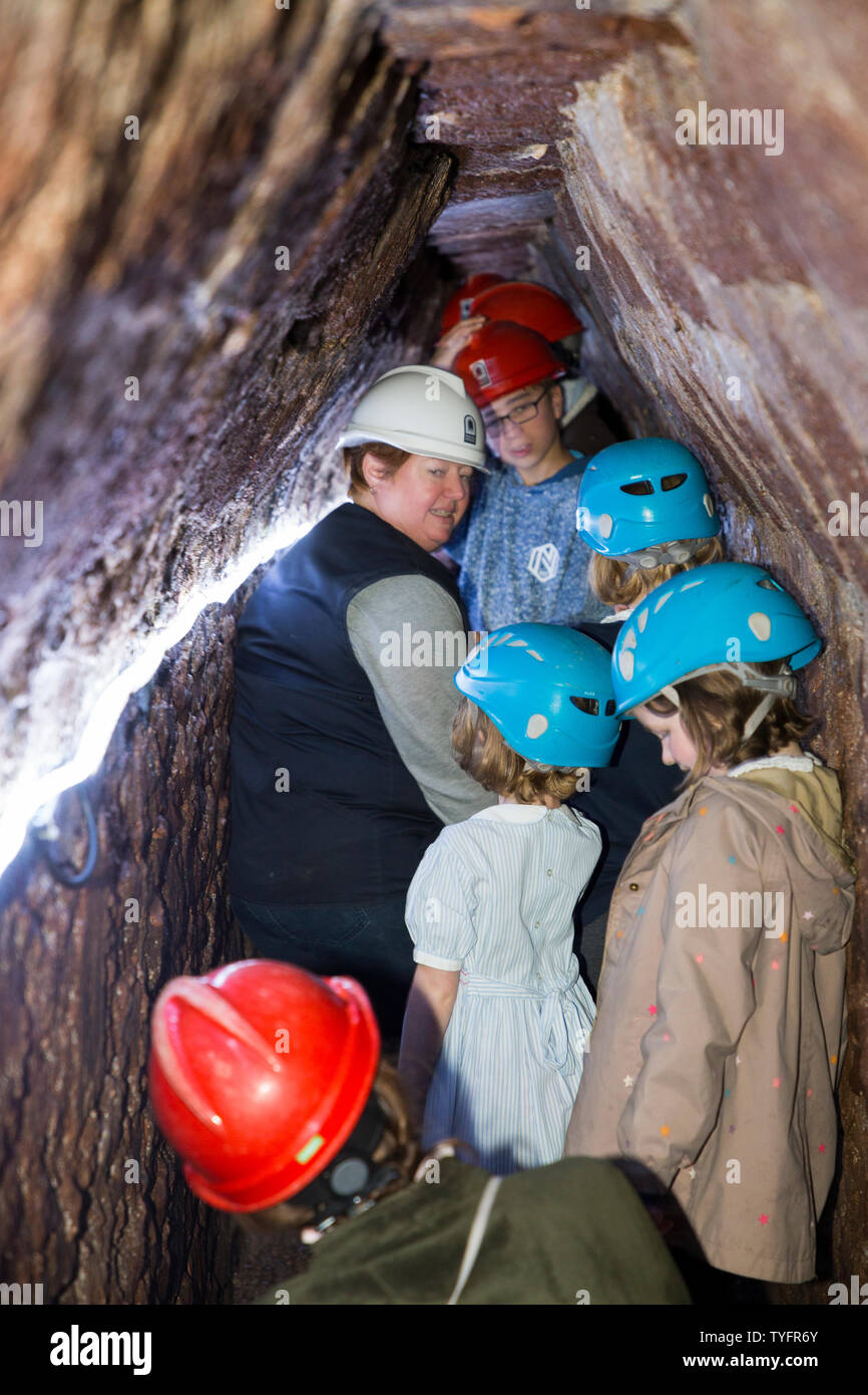 Tour guide in white hat and guiding a tour group around Exeter's