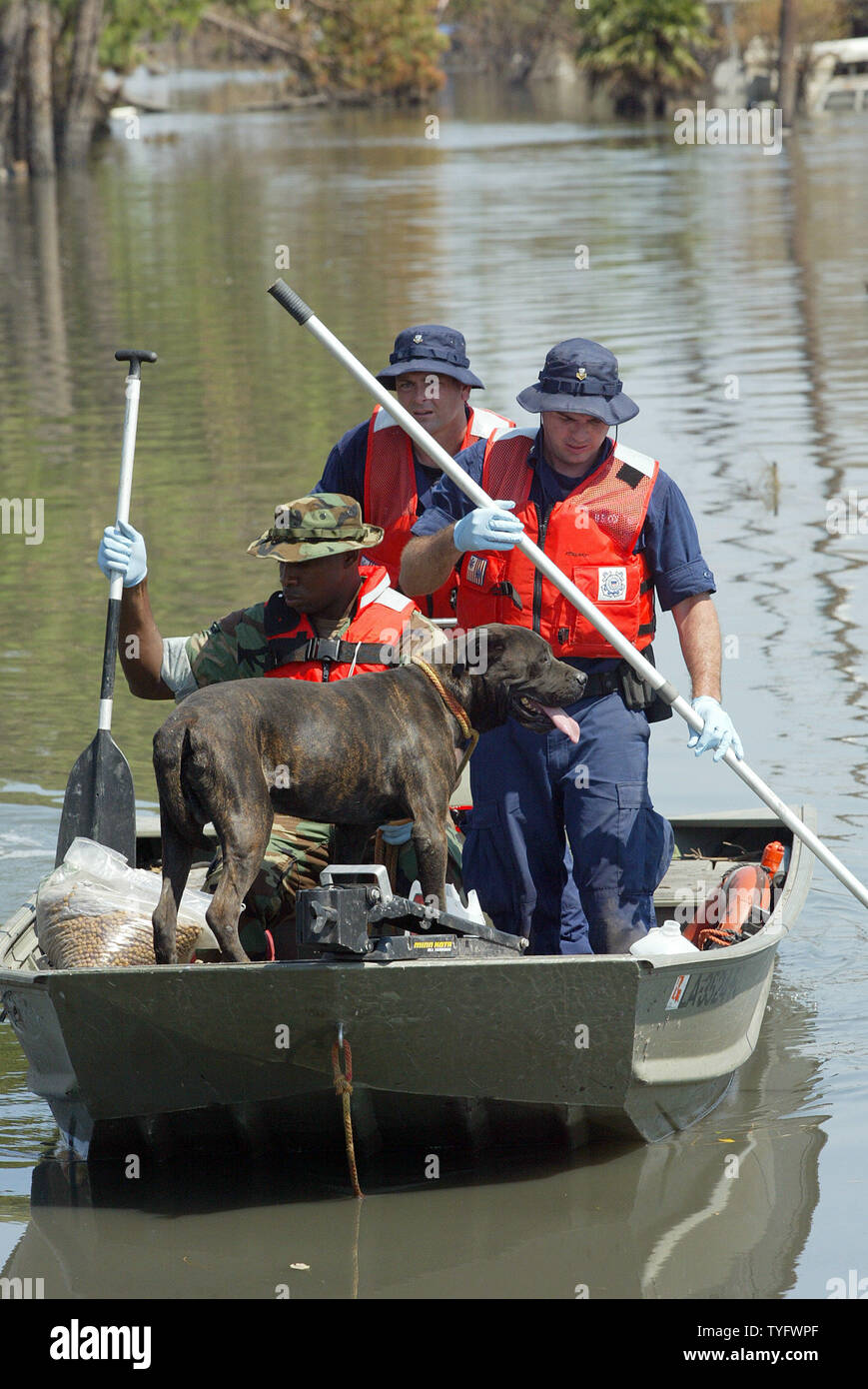 U.S. Coast Guard members from Port Arthur, Texas, return to shore with a dog they rescued while on patrol in Lakeview, New Orleans, close to the 17th Street Canal levee breach on Sept. 11, 2005. Rescue personel continue to pull out people and pets nearly two weeks after Hurricane Katrina hit the Gulf Coast.  (UPI Photo/A.J. Sisco) Stock Photo