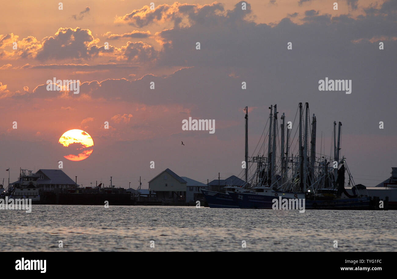 Louisiana shrimp boats hi-res stock photography and images - Alamy