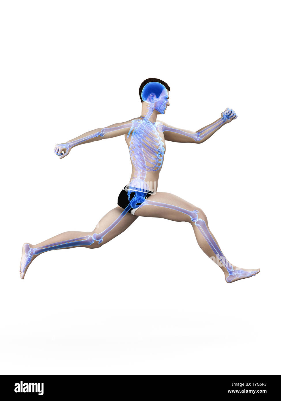 Human Running Graphical Image 3d rendered medically accurate illustration of a man running Stock ...