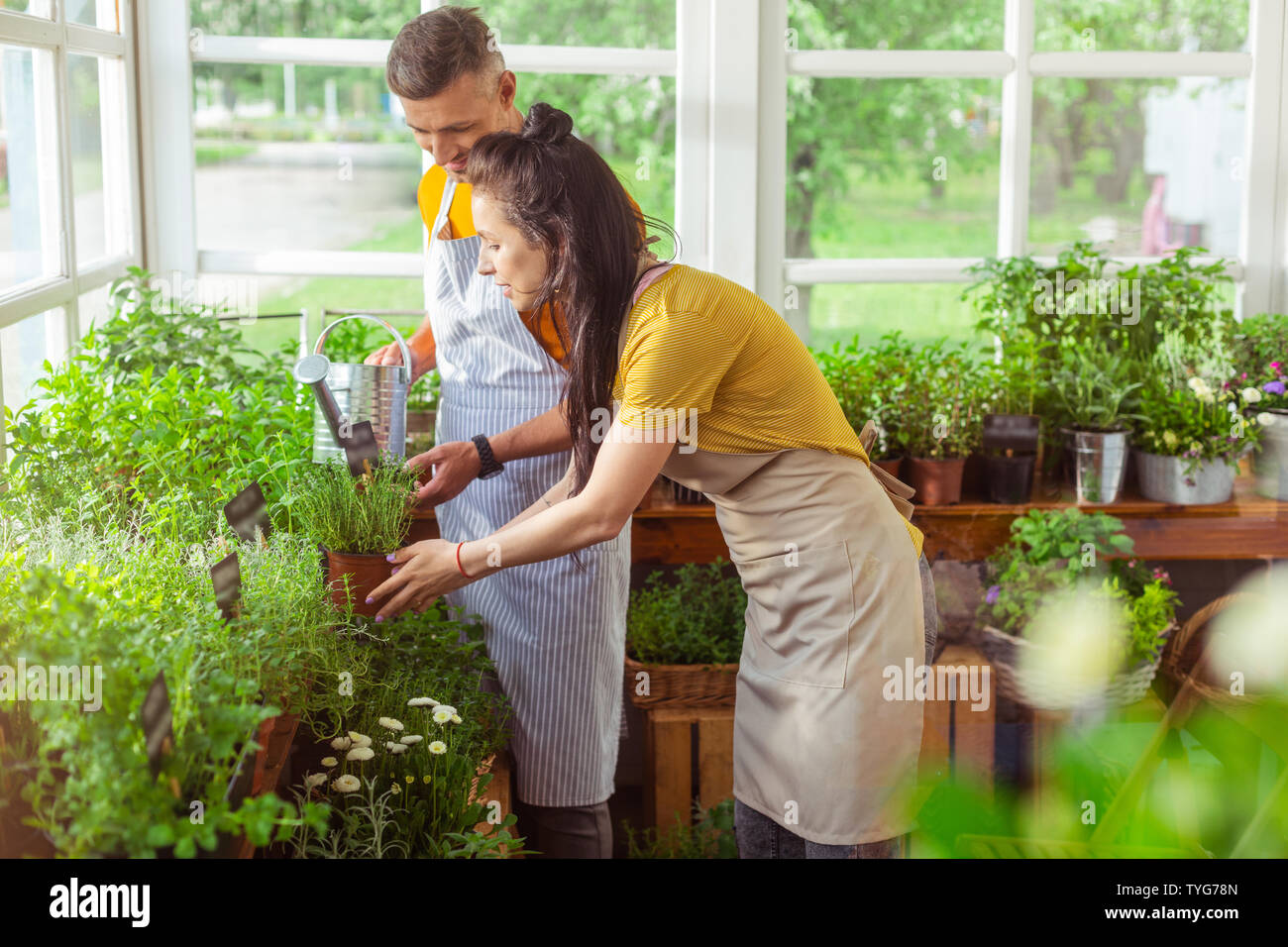 Two florists watering plants in a shop together Stock Photo Alamy