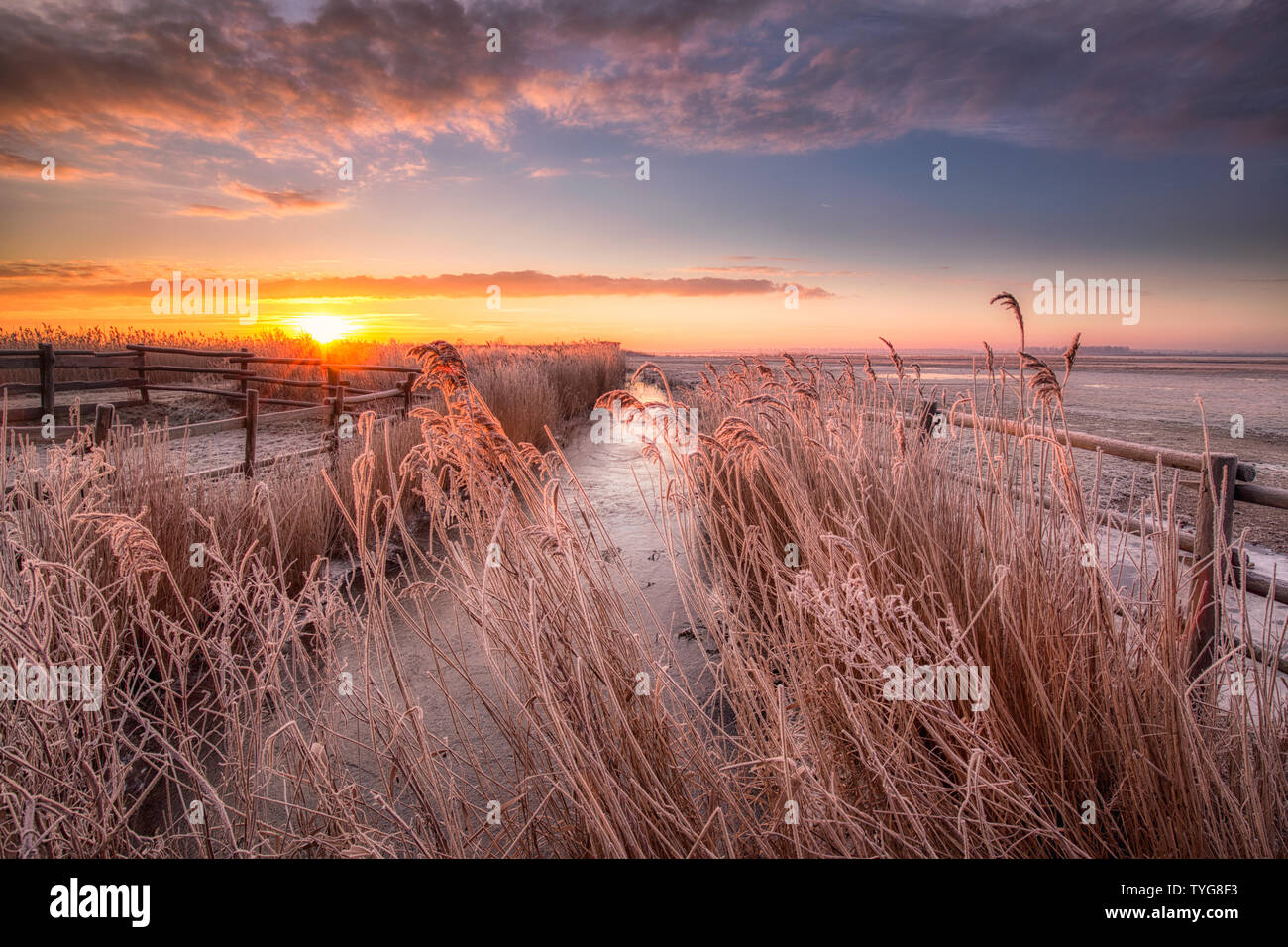 A winter landscape in the Netherlands with a beautiful sunrise with bright colours in the sky and frost on the fields at Lauwersmeer National Park Stock Photo